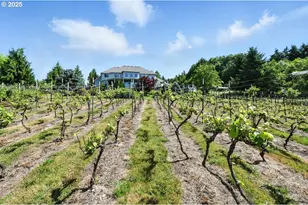 442 Varsity Rd, Kalama, WA 98625 - Photo 42