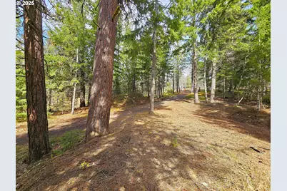 272 Johnson Rd, Lyle, WA 98635 - Photo 26