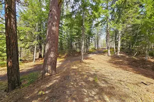 272 Johnson Rd, Lyle, WA 98635 - Photo 26