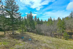 272 Johnson Rd, Lyle, WA 98635 - Photo 22