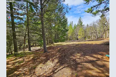 272 Johnson Rd, Lyle, WA 98635 - Photo 30