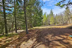 272 Johnson Rd, Lyle, WA 98635 - Photo 30