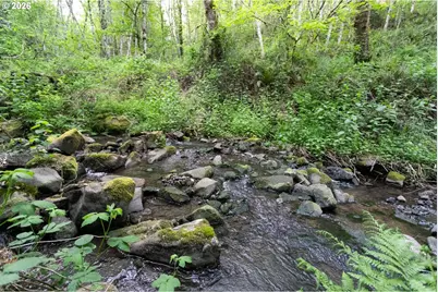 276 Champion Rd, Kalama, WA 98625 - Photo 34