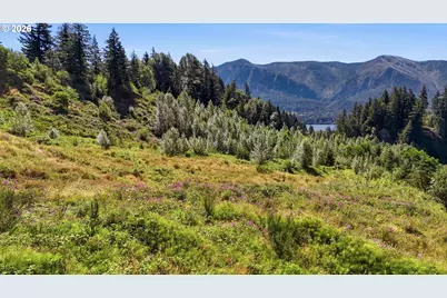 Piper Rd, Stevenson, WA 98648 - Photo 6