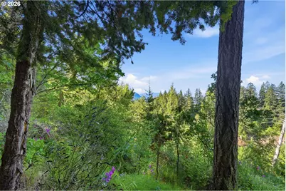 Piper Rd, Stevenson, WA 98648 - Photo 4
