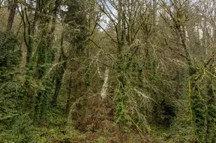 5135 NW St Helens Rd, Portland, OR 97210 - Photo 36