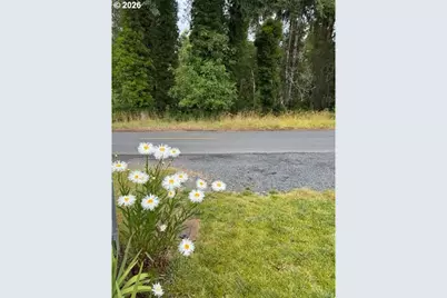 509 Monroe St, Ryderwood, WA 98581 - Photo 24
