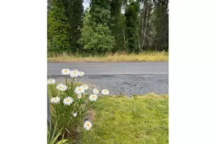 509 Monroe St, Ryderwood, WA 98581 - Photo 24
