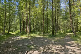 15003 S Macksburg Rd, Molalla, OR 97038 - Photo 44