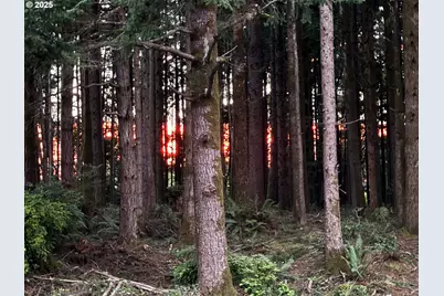 2420 Jefferson St, Port Orford, OR 97465 - Photo 34