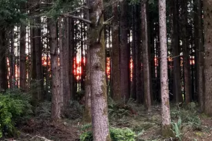 2420 Jefferson St, Port Orford, OR 97465 - Photo 34