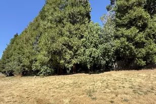 150 SW Brantley Dr, Winston, OR 97496 - Photo 16