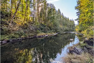 36405 NE 267th St, Yacolt, WA 98675 - Photo 30