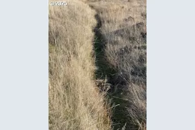 Sara View Dr #Lot 3, Goldendale, WA 98620 - Photo 4