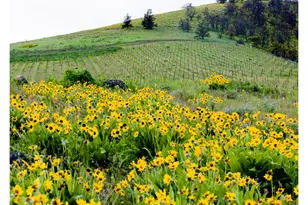 3475 Three Mile Rd, The Dalles, OR 97058 - Photo 6