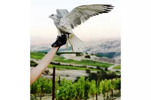 3475 Three Mile Rd, The Dalles, OR 97058 - Photo 26