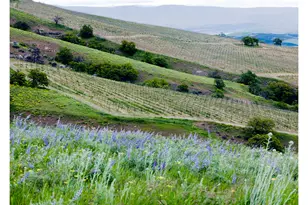 3475 Three Mile Rd, The Dalles, OR 97058 - Photo 8