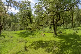 31338 Fox Hollow Rd, Eugene, OR 97405 - Photo 48
