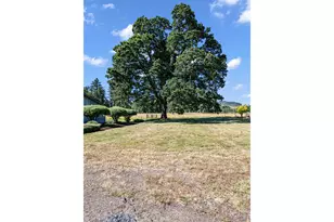 35296 Hwy 58, Pleasant Hill, OR 97455 - Photo 36