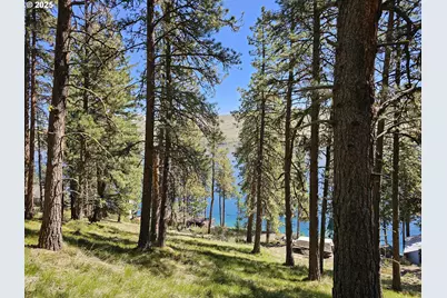 Lake Shore Rd, Joseph, OR 97846 - Photo 12