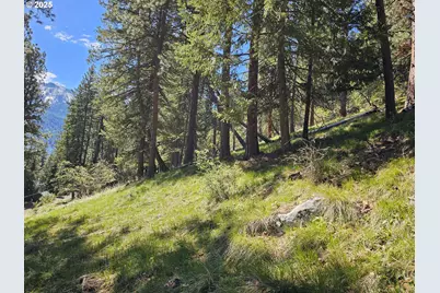 Lake Shore Rd, Joseph, OR 97846 - Photo 1