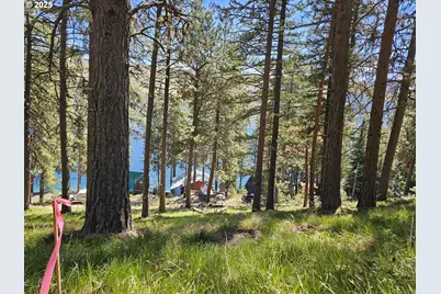 Lake Shore Rd, Joseph, OR 97846 - Photo 14