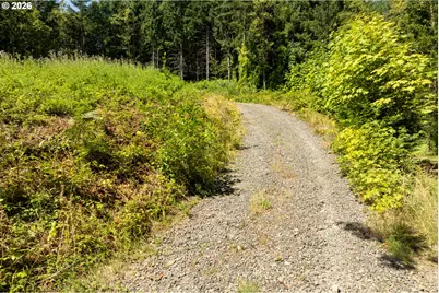 239 Junco Ln, Woodland, WA 98674 - Photo 16