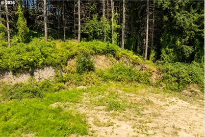 239 Junco Ln, Woodland, WA 98674 - Photo 20