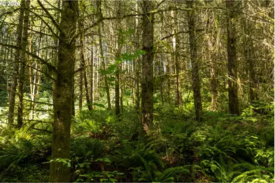 239 Junco Ln, Woodland, WA 98674 - Photo 26