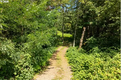 239 Junco Ln, Woodland, WA 98674 - Photo 12