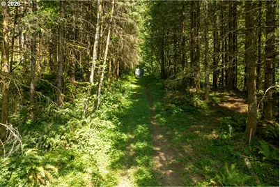 239 Junco Ln, Woodland, WA 98674 - Photo 24