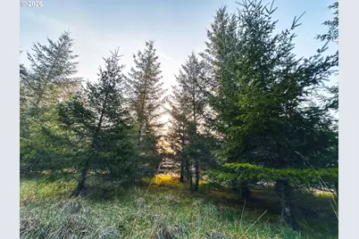 22399 Harris Rd #TL800, Philomath, OR 97370 - Photo 24