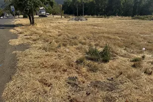 411 NE 1st St, Oakland, OR 97462 - Photo 1