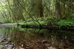 37307 Linda Ln, Seaside, OR 97138 - Photo 18