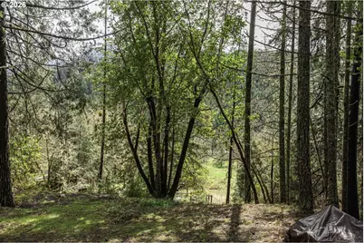 3866 Placer Rd, Wolf Creek, OR 97497 - Photo 24