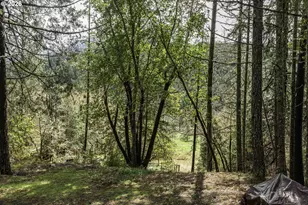 3866 Placer Rd, Wolf Creek, OR 97497 - Photo 24