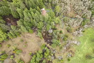 3866 Placer Rd, Wolf Creek, OR 97497 - Photo 36