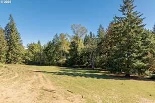 35003 NE 119th Ave, La Center, WA 98629 - Photo 38