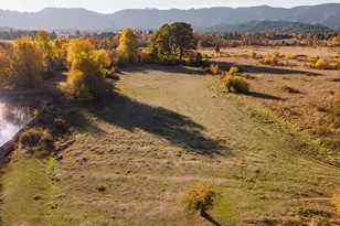 19115 Hwy 42, Camas Valley, OR 97416 - Photo 40