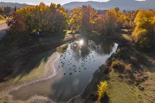 19115 Hwy 42, Camas Valley, OR 97416 - Photo 38