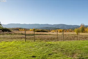 19115 Hwy 42, Camas Valley, OR 97416 - Photo 30