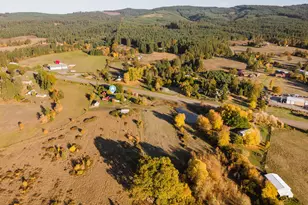 19115 Hwy 42, Camas Valley, OR 97416 - Photo 48