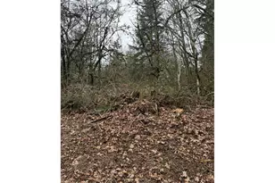Hutchinson Rd, Rainier, OR 97048 - Photo 1