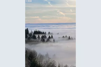 813 Varsity Rd, Kalama, WA 98625 - Photo 44