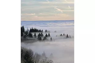 813 Varsity Rd, Kalama, WA 98625 - Photo 44