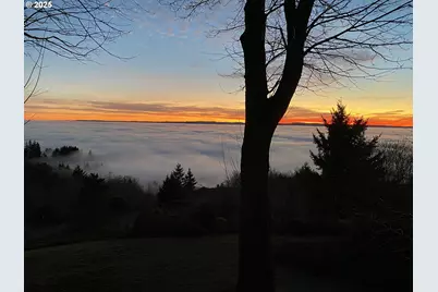 813 Varsity Rd, Kalama, WA 98625 - Photo 48