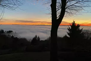 813 Varsity Rd, Kalama, WA 98625 - Photo 48