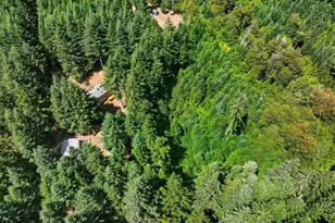 47801 NW Deer Ct, Banks, OR 97106 - Photo 44