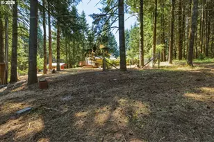 47801 NW Deer Ct, Banks, OR 97106 - Photo 36