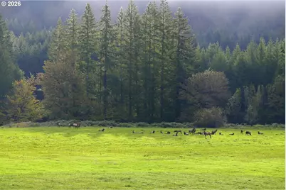 3380 N Fork Smith River Rd, Reedsport, OR 97467 - Photo 38